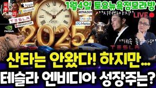 미국주식/2025년 앞으로 4주! 최고전략은? (편집본)/테슬라 엔비디아 구글 애플 아마존 메타 마이크로소프트 팔란티어 아이온큐 브로드컴 LLY 노보 SMCI $tsla tesla