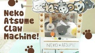 Homemade Neko Atsume machine! 