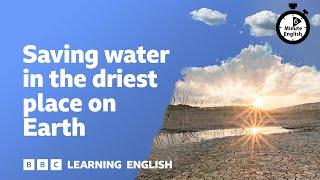 Saving water in the driest place on Earth ⏲️ 6 Minute English