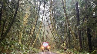 Exploring the Last Frontier on VANCOUVER ISLAND