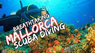 Exploring the Enchanting Underwater World of Mallorca | Dive Adventures