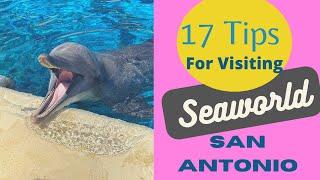 17 Tips for Visiting SeaWorld San Antonio with Kids