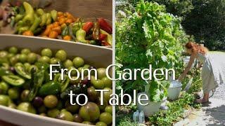 Preparing food from the garden. Appalachian Homestead. Homestead in any space.