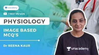 Image Based MCQ's | Physiology | Dr Reena Kaur