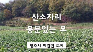 (010-6421-6123)산소자리.묘자리.봉분있는묘.300평.전.매가 평당8만원