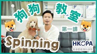 【一分鐘犬隻訓練】HKOPA x 犬隻訓練師Eric 狗狗教室第一課 (Spinning）/ Eric Chan Dog Training Lesson 01 (Spinning)