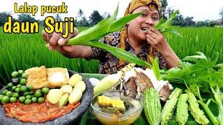 Nikmatnya sayur asem " MUKBANG LALAP JENGKOL MUDA +  batang pepaya mentah SAMBEL terasi ikan asin