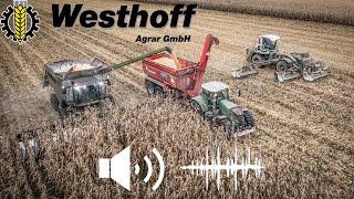 Westhoff Giants XXL  / Claas Lexion 7600 / 16 Row Drago 2 & Claas Krugar SMU 1350  Corn harvest 2021