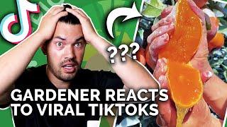 Gardener Reacts to Mind-Blowing Gardening TikToks 