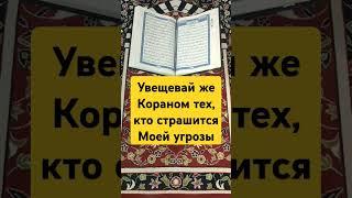 Смыслы Корана. #истина #религия #бог #молитва #ислам #коран #послание #смыслжизни #проповедь