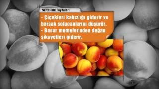 DOĞADAKİ ŞİFA SEFTALI