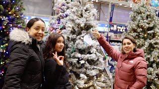 Taking my family to buy a Christmas tree!