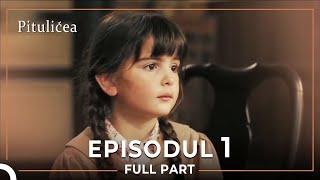 Pitulicea | Episodul 1