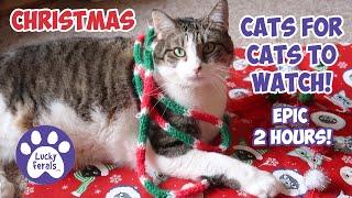 CHRISTMAS Cats For CATS To Watch With Sound  EPIC 2 HOURS! Cat Videos * Entertainment For Cats