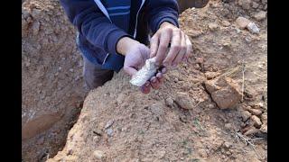 Dominio del Aguila - 2015 - In the Vineyard with vigneron Jorge Monzon