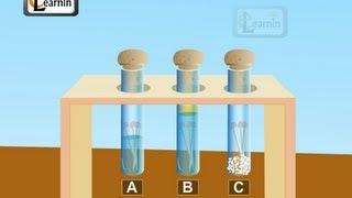 Corrosion and rust- Science