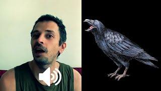 Resident Evil - Crows sounds (my voice as a crow)
