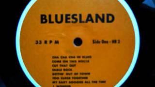 Junior Wells - Cha Cha Cha in Blues