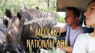 Self Drive Safari mit Nashörnern: iMfolozi Nationalpark  • #Südafrika • Vlog 271