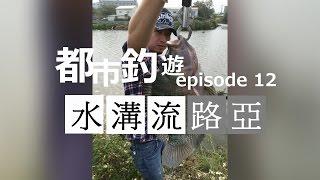 【水溝流路亞-12】【嘉義民雄釣點】-公路邊釣到超大阿福 , Lure Snake Head fishing Asia Taiwan  | 雷強|路亞|假餌|黑魚|黑鱸 |黑鲈|海鰱|曲腰|鮕呆