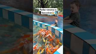 Рыбы-сосуны