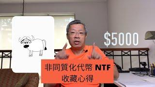 收藏NFT(非同質化代幣)心得