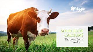 Sources of calcium: the cows don't make it! - Neal Barnard, MD