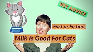 Fact or Fiction? Milk is GOOD for Cats | VET ADVICE