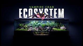  BUILDING A HUGE VAMPIRE CRAB ECOSYSTEM PALUDARIUM (STEP BY STEP)