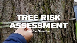 Tree Risk Assessment Service Overview I Russell Tree Experts