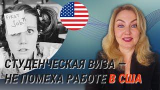 Как подрабатывать во время учебы в США и не нарушить требования учебной визы: полный гайд