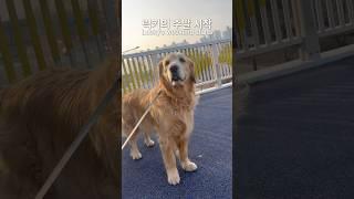 럭키의 주말 이야기 상쾌한 아침 따뜻한 오후 엄마 아빠와 행복한 공원 산책 엄마 친구들과 재미있는 수다 시간 타이어 빵구 나도 간식 득템 즐거워요 예쁜 야경 하루 마무리