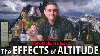 High Altitude Wine: Is It Really Better?