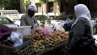 Une année au Caire