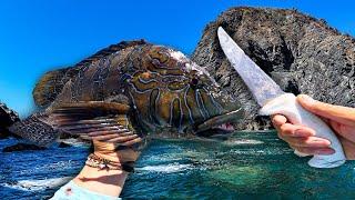 Would you dare to eat this raw fish? | Catch and cook at sea with @PESCAURBANAOFICIAL!