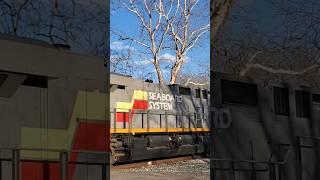 CSX heritage unit 1982 Seaboard System