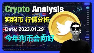 比特币行情分析2023.01.29 | 狗狗币今年有较好机会