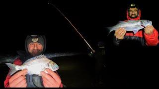 BASS AND GILTHEAD BREAM FISHING IN NORTH WALES | SEA FISHING UK | MASTERFISHERMAN