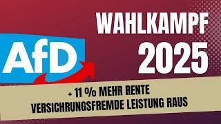 11 Prozent mehr Rente: das verspricht die AfD- versicherungsfremde Leistungen raus aus der Rente