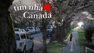 Du học Canada | Chi phí và kinh nghiệm thuê nhà vlog xuunie