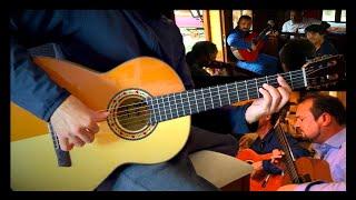 『Ne t'en va pas』(Mario Regis - Gipsy del Mundo) LucasGitanoFamily【flamenco guitar cover】Gipsy Kings