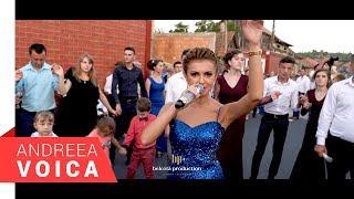 Andreea Voica Feat. Stana Izbasa & Papu - Colaj Brauri Live 2