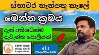 Commercial & Sampath bank Money market account fd rates in sri lanka 2024 |fixed deposit rates 2024