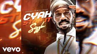 Sizzla - Cyah Stop It (Official Audio)