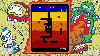 Namco Museum (Nintendo Switch) Game: DIG DUG