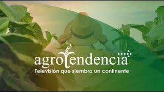 Agrotendencia TV | Televisión que siembra un continente