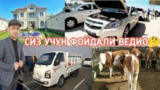 АКБАР ГУЗОР ХАММА УЧУН ФОЙДАЛИ ВЕДИО. #Акбар#Гузор#