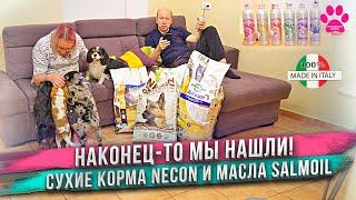 Сухой корм, который мы искали 20 лет! Necon - лучший сухой корм. Заводчик рекомендует! Масла Salmoil