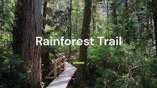 Rainforest Trail in Pacific Rim National Park, Tofino, BC - Vancouver Trails