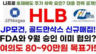 [HLB 주가전망] 단독! 긴급속보! JP모건, 골드만삭스 신규 매집! FDA와 9월 승인 이미 협의? 여의도 80~90만원 목표가!